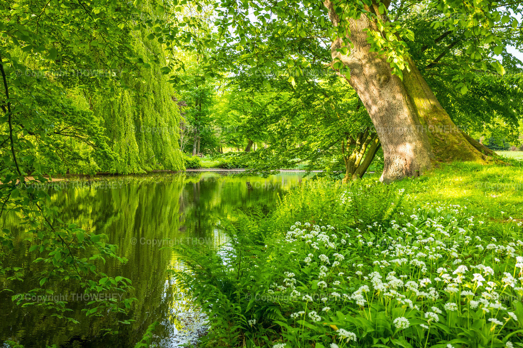 _1131330 | thowehey - Realisiert mit Pictrs.com