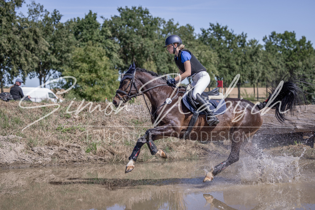 20260906-_3LI4184 | Tierfotografie Pferde, Hunde, Katzen, Haustiere.
Turnierfotografie Reitturniere, Reiten, Springreiten, Dressur in Hanau, dem Main-Kinzig-Kreis und dem Rhein-Main- Gebiet um Frankfurt