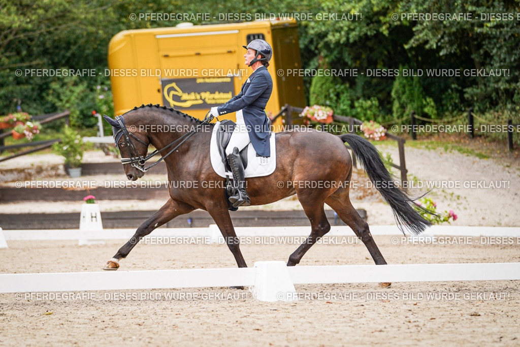 DSC07397 | Pferdegrafie