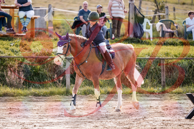 2026_10_03_Siefer-Hof_144530_Z81_21024179 | Professionelle Reitsport-, Turnier- und Eventfotografie von Robert Broda. Galerien mit ausgewählten und bearbeiteten Bildern direkt online ansehen und bestellen.