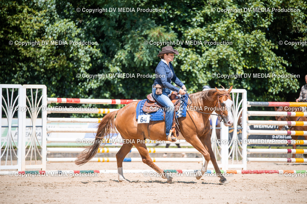 ZS1_1193 | dv-media-shop - Realisiert mit Pictrs.com