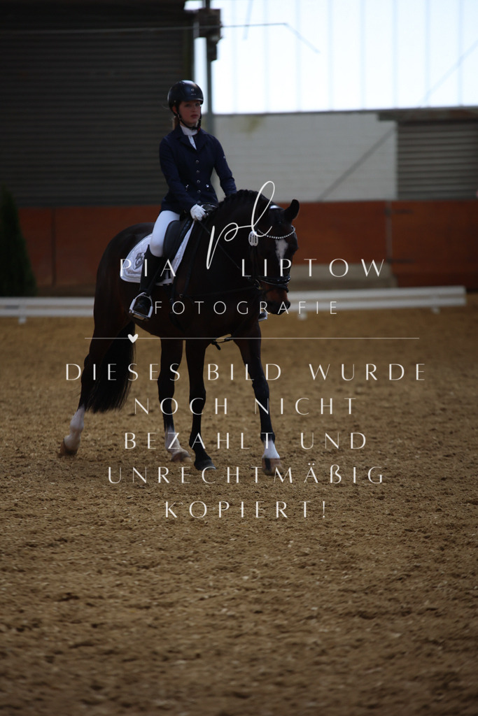 IMGT4051 | pl-fotografie