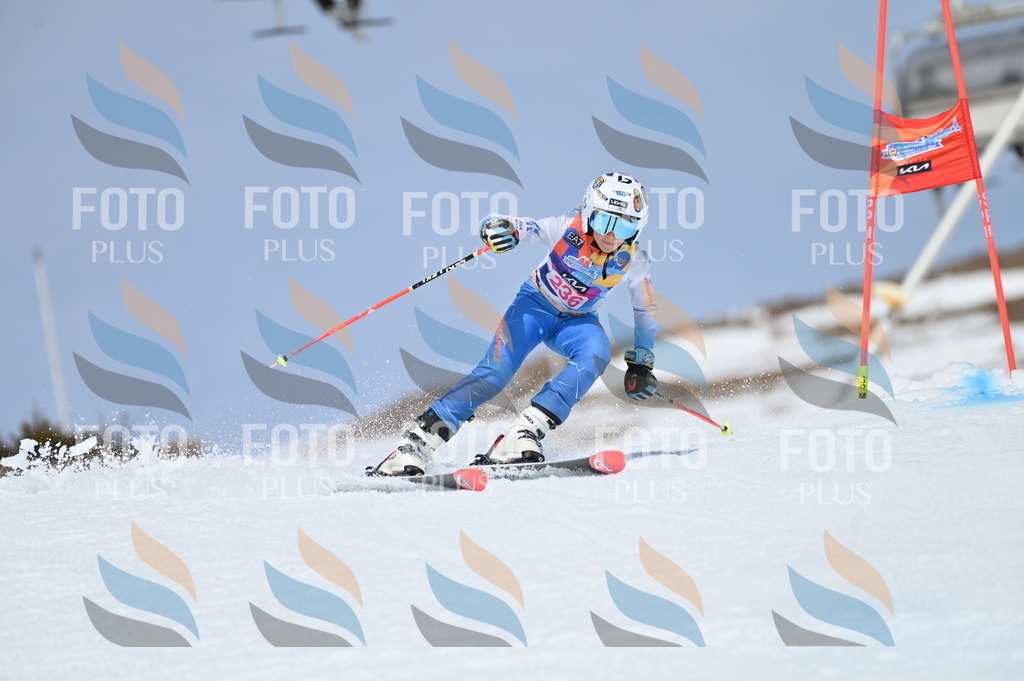 BGV_1614 | holidayphoto