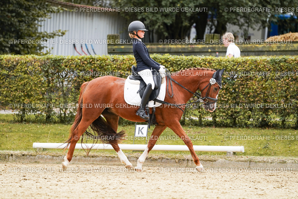 DSC09719 | Pferdegrafie