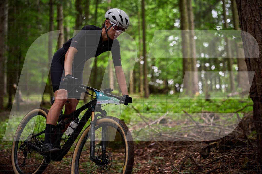 Betriebszentrum Laubenbachmühle, Frankenfels, Österreich - 13. September 2025: Dirndltal Race - Fun und Trophy RaceFotograf: Martin Bihounek / martinbihounek.com | 13. September 2025 Betriebszentrum Laubenbachmühle, Frankenfels, Österreich : Dirndltal Race - Fun und Trophy Race •••••Photo by: Martin Bihounek / martinbihounek.comInsta: @martinbihounekcom