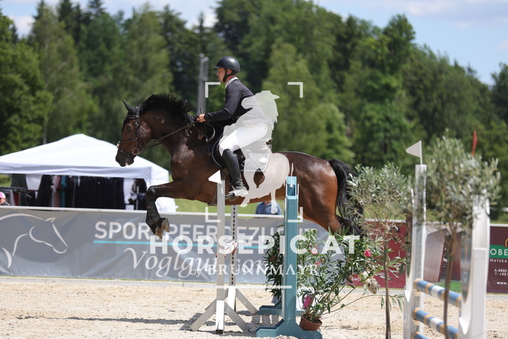 0P6A5002 | Willkommen bei Brunnmayr - Design & Fotografie – Ihrem Spezialisten für Reitturniere und Pferdeveranstaltungen in Oberösterreich, Salzburg und Bayern! Seit über 17 Jahren sind wir leidenschaftlich dabei.