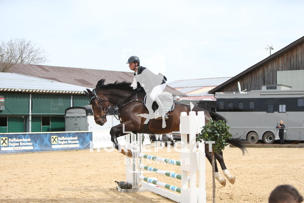 DL2Q0209 | Willkommen bei Brunnmayr - Design & Fotografie – Ihrem Spezialisten für Reitturniere und Pferdeveranstaltungen in Oberösterreich, Salzburg und Bayern! Seit über 17 Jahren sind wir leidenschaftlich dabei.