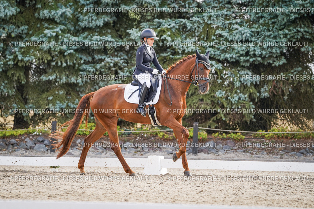 DSC00707 | Pferdegrafie