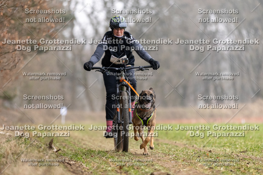 Dog Paparazzi - Plate 2026-7 | Dog Paparazzi Jeanette Grottendiek Fotografie & Videografie - Realisiert mit Pictrs.com