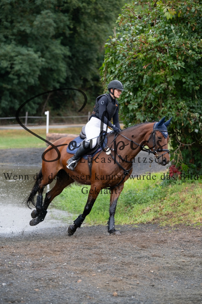 A7V00238 | Pferdefotograf