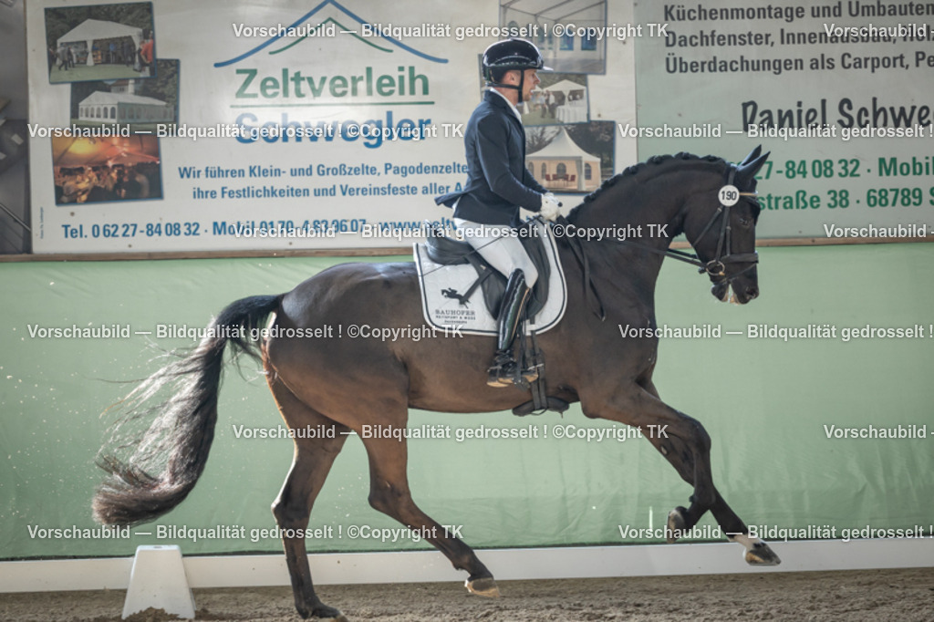 _D5A0907 | Emotionale Pferde- & People-Fotografie rund um Heidelberg, Leimen & Umgebung. Natürliche Fotos von Pferd, Mensch & Familie. Jetzt Termin sichern!