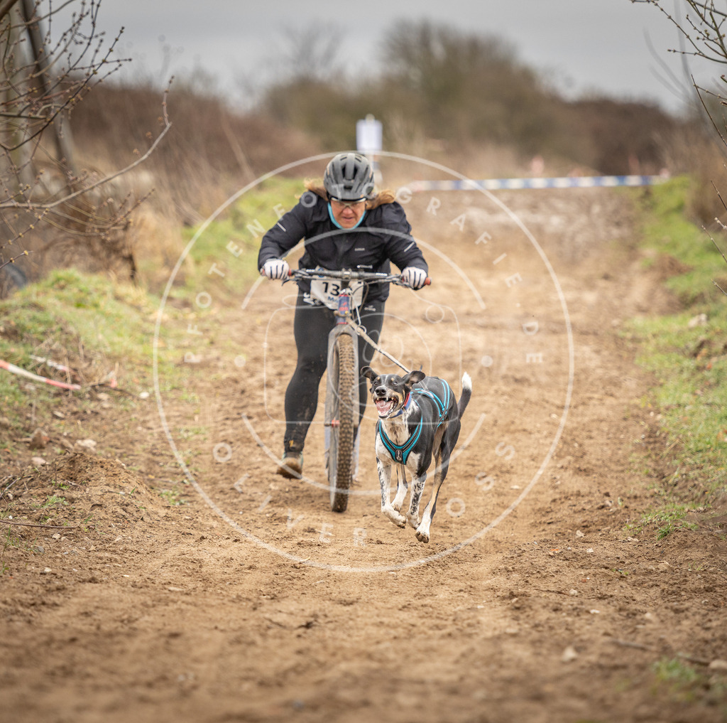 DV3A1386 | Hundefotografie, Tierfotograf, Pfotenfotografie, Fotoshooting Hund, Hunde Portrait, Hundesport, Hundeportraits, Heideshooting, Hunde, Sportfotograf, Hundefotograf, Turnierhundsport, THS,  - Realisiert mit Pictrs.com