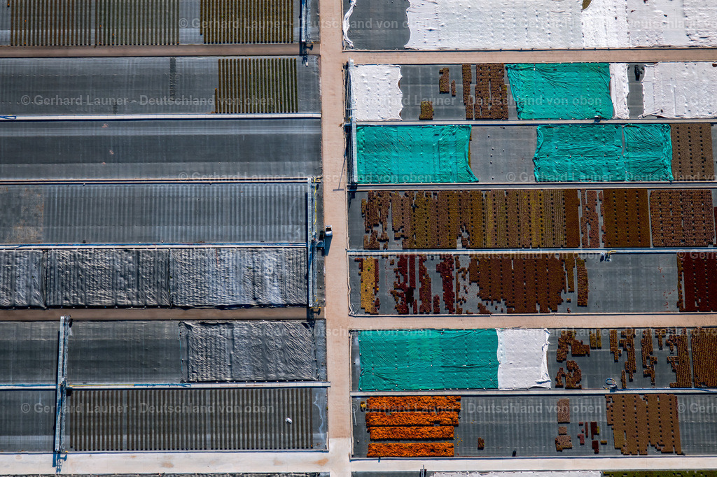 4026124 | ERFURT 06.05.2020 Senkrecht- Luftbild aus der Satelliten- Perspektive vom Bunte Beet- Reihen auf einem Feld zur Blumenzucht im Ortsteil Marbach in Erfurt im Bundesland Thüringen, Deutschland. Weiterführende Informationen bei: Rose Saatzucht Erfurt. // Vertical aerial view from the satellite perspective of the colorful bedding rows on a field for flowering in the district Marbach in Erfurt in the state Thuringia, Germany. Further information at: Rose Saatzucht Erfurt. Foto: Gerhard Launer