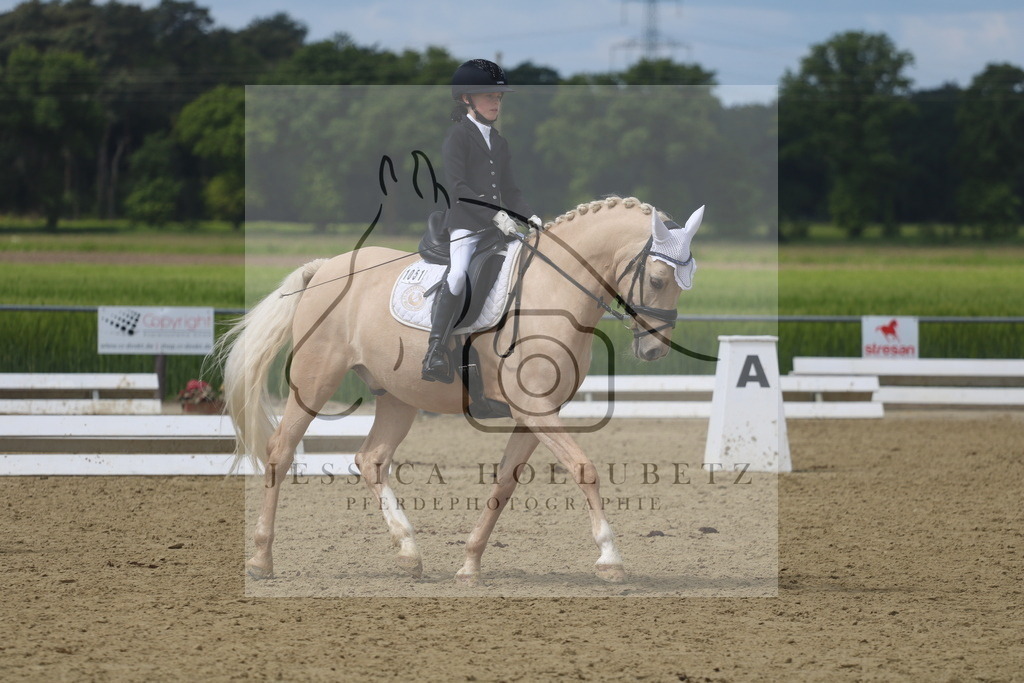 IMG_2805 | jessicahollubetz_pferdephotographie - Realisiert mit Pictrs.com