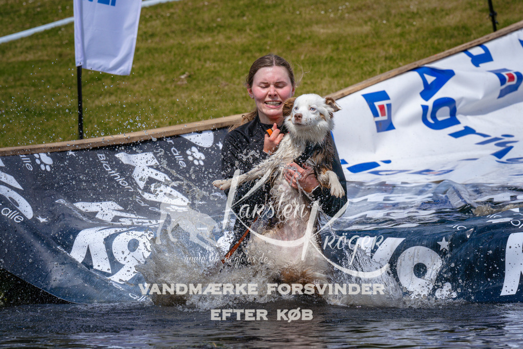 _ZZ981401035 | kk-dogfotos