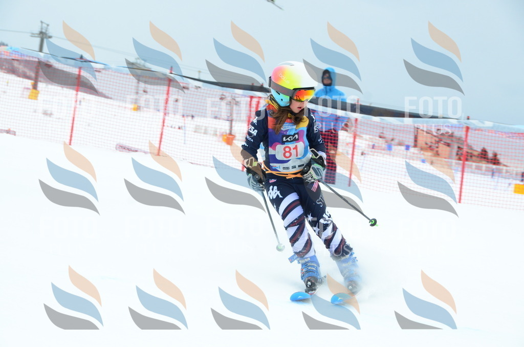 DSC_1123 | holidayphoto