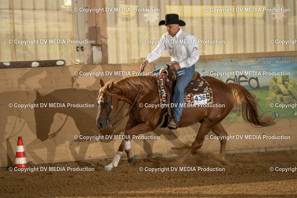 LAU01950 | dv-media-shop - Realisiert mit Pictrs.com