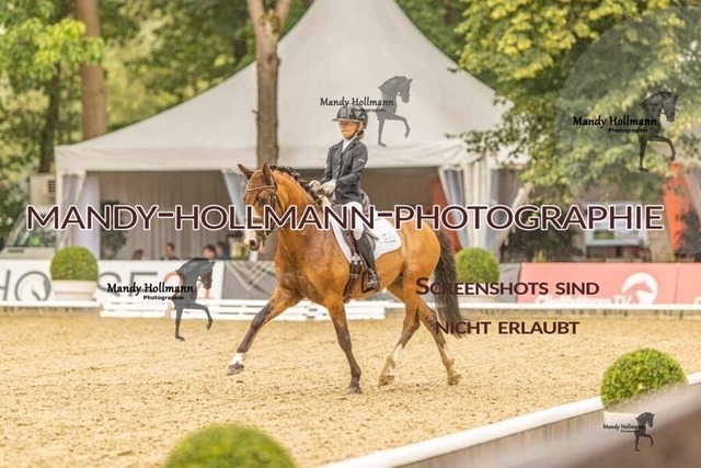 28-8-26 5j DRE-1273 | mandyhollmannphotographie