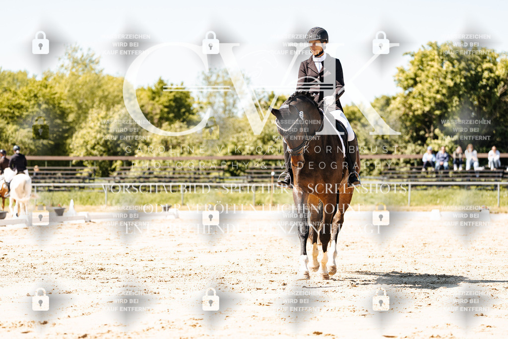 CK905402 | Turnierfotografie Pferdefotografie Trier Rheinland-Pfalz Pferdesport Reitsport Tierfotografie Sportfotografie Pferdevideo Pferdevideografie Equestrianvideography equestrianphotography  - Realisiert mit Pictrs.com