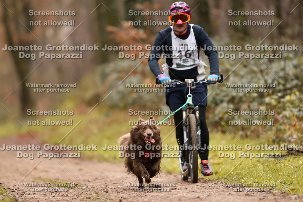 Dog Paparazzi - Speedhunter Mannheim  2025-46 | Dog Paparazzi Jeanette Grottendiek Fotografie & Videografie
