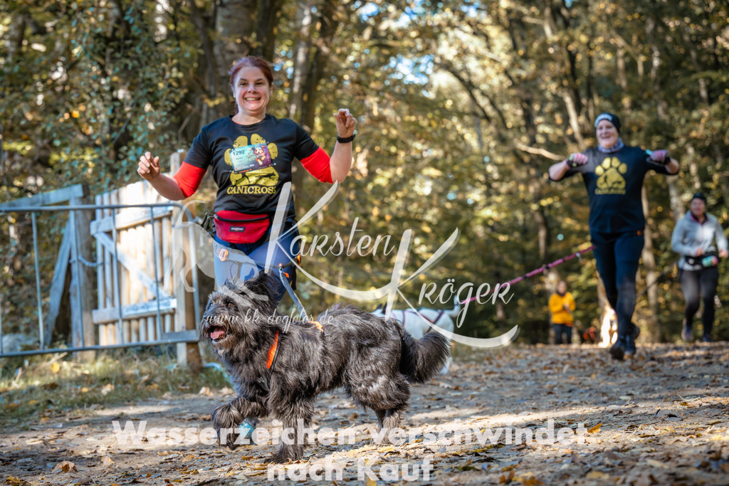 1137_ZZ92903 | kk-dogfotos