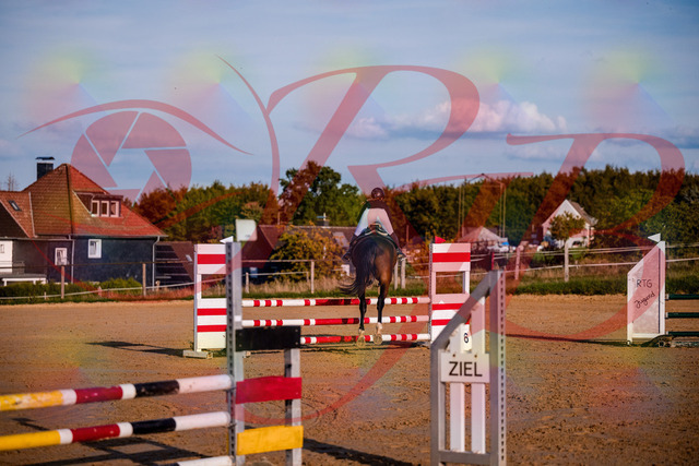 2026_10_03_Siefer-Hof_171039_Z81_07567895 | Professionelle Reitsport-, Turnier- und Eventfotografie von Robert Broda. Galerien mit ausgewählten und bearbeiteten Bildern direkt online ansehen und bestellen.