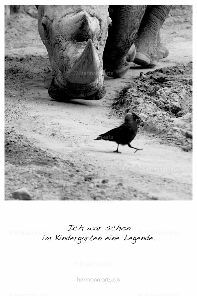 PK_Zitate_10x15_BW-136 | Photo Foto Kunst Art schwarzweiss Bilder Rheine Münster Berlin Blumen 