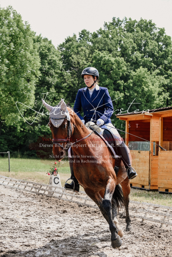 DSC_1190 | Pferde- und Turnierfotografie in Westsachsen. Pferdeportraits, Auftragszeichnungen und intuitive Kunst.