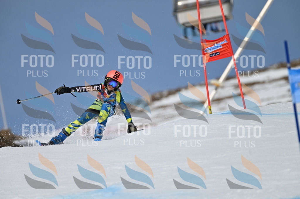 BGV_7272 | holidayphoto