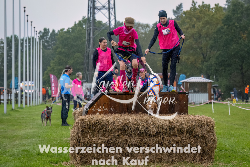 1005--11 | kk-dogfotos