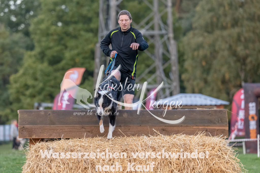 0803_ZZ94037-Bearbeitet | kk-dogfotos