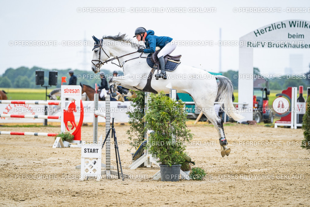 DSC09251 | Pferdegrafie