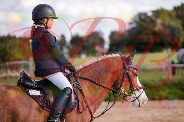 2026_10_03_Siefer-Hof_144334_Z81_17173794 | Professionelle Reitsport-, Turnier- und Eventfotografie von Robert Broda. Galerien mit ausgewählten und bearbeiteten Bildern direkt online ansehen und bestellen.