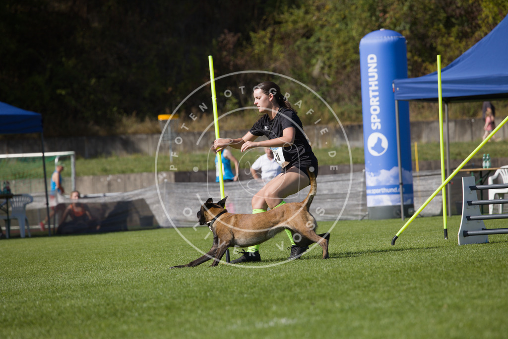 0L8A7482 | Hundefotografie, Tierfotograf, Pfotenfotografie, Fotoshooting Hund, Hunde Portrait, Hundesport, Hundeportraits, Heideshooting, Hunde, Sportfotograf, Hundefotograf, Turnierhundsport, THS,  - Realisiert mit Pictrs.com