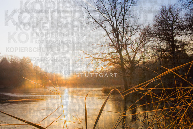 DSCF8527 | "Entdecken Sie atemberaubende Bilder von Stuttgart im Fotowerk Stuttgart! Kaufen Sie hochwertige Fotos auf Leinwand oder laden Sie digitale Downloads für Ihre Wohnung oder Büros herunter.  - Realisiert mit Pictrs.com