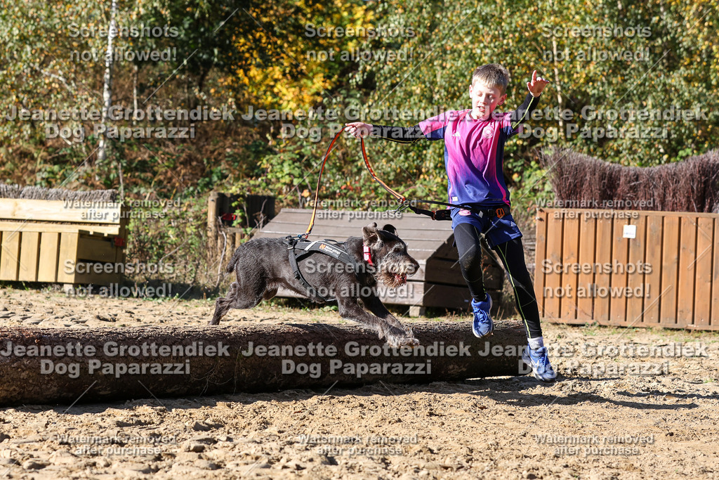 Dog Paparazzi - Strongdog 10-25-2912 | Dog Paparazzi Jeanette Grottendiek Fotografie & Videografie - Realisiert mit Pictrs.com