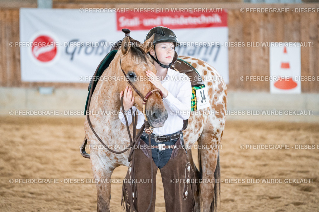 DSC01394 | Pferdegrafie