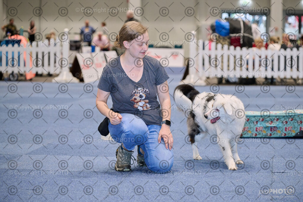 202406_ÖKV-IHA-Tulln24_NZ9_7678 | proPHOTO - Realisiert mit Pictrs.com