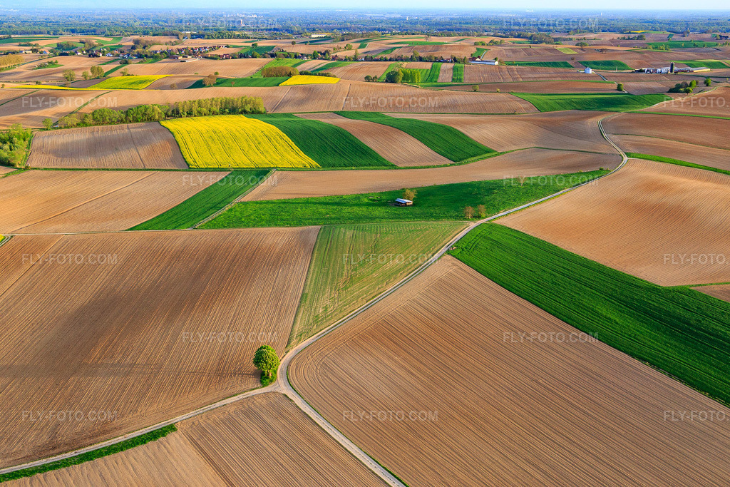 Aerial view: Fields and meadows in Niederlauterbach in the state Bas-Rhin, France. – Photo: IMG_078021.jpg taken on 04/24/2015 by Werner Riehm/FLY-FOTO.com – Resolution of the original: 5472 x 3648 px