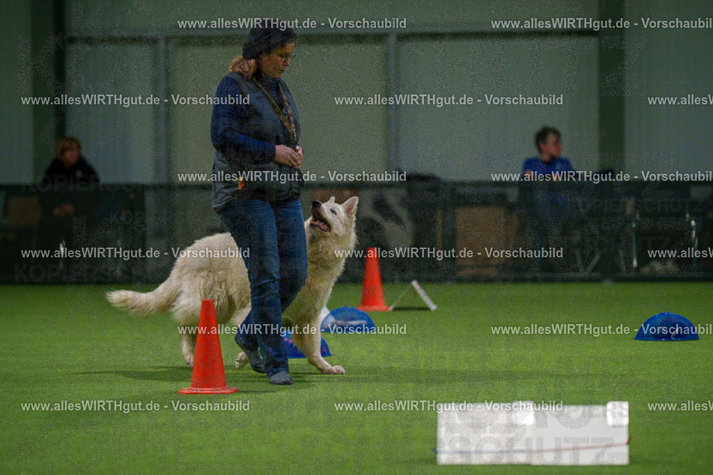 7R504211 | Professionelle Tierfotografie in Mönchengladbach von Daniel Wirth (allesWIRTHgut). Liebevolle & natürliche Bilder von Hunden & Katzen für unvergessliche Erinnerungen.