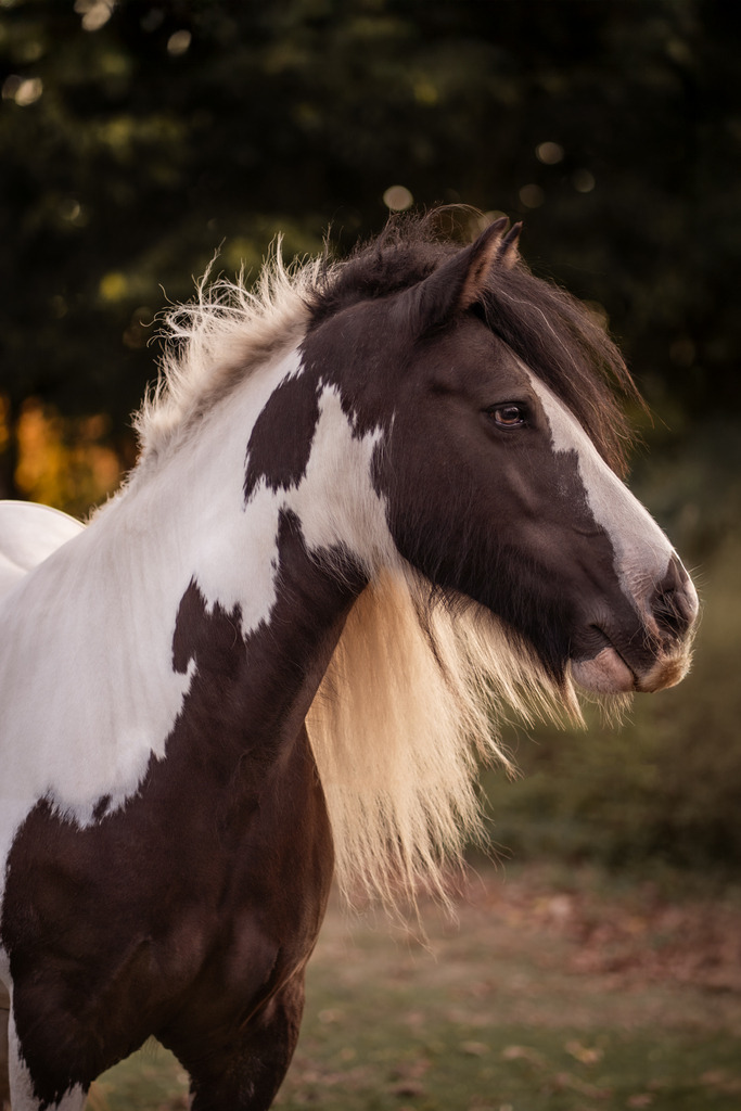 _DSC1496-Bearbeitet | photography by friederike - Realisiert mit Pictrs.com