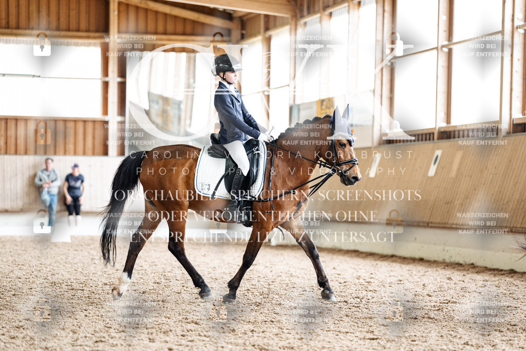 CK901570 | Turnierfotografie Pferdefotografie Trier Rheinland-Pfalz Pferdesport Reitsport Tierfotografie Sportfotografie Pferdevideo Pferdevideografie Equestrianvideography equestrianphotography  - Realisiert mit Pictrs.com