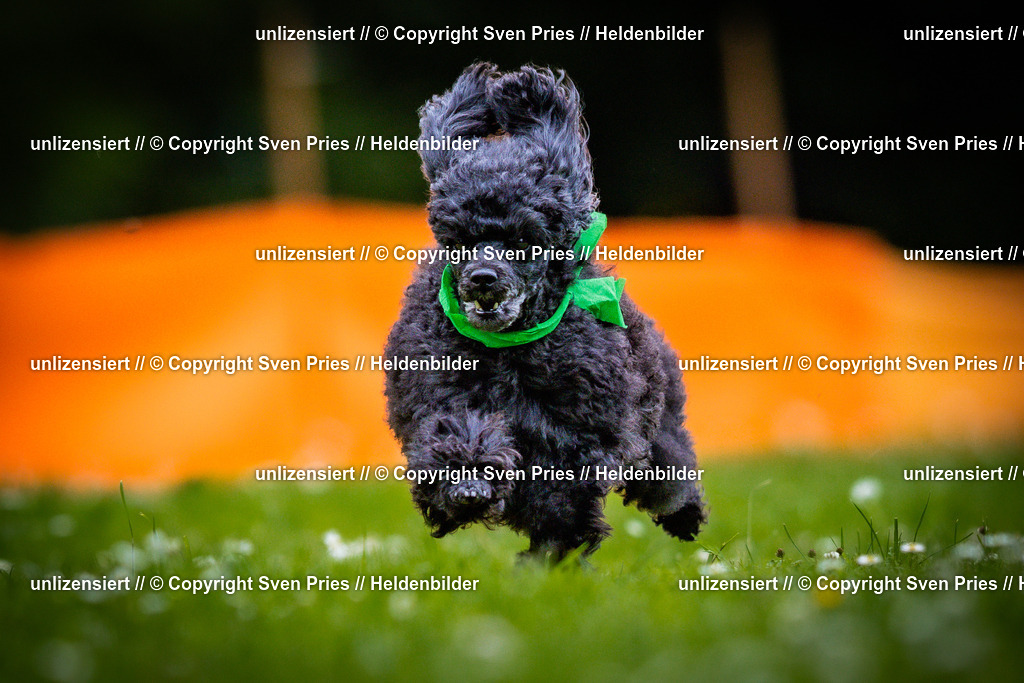 Sven Pries | 2025-05-29 - Pudelrennen KA-Durlach - Realisiert mit Pictrs.com