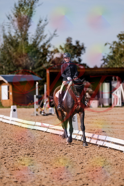 2026_10_03_Siefer-Hof_133811_Z81_94741615 | Professionelle Reitsport-, Turnier- und Eventfotografie von Robert Broda. Galerien mit ausgewählten und bearbeiteten Bildern direkt online ansehen und bestellen.