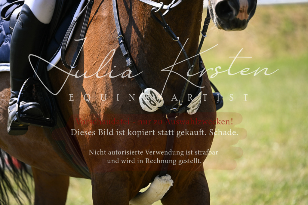 DSC_0103 | Pferde- und Turnierfotografie in Westsachsen. Pferdeportraits, Auftragszeichnungen und intuitive Kunst.