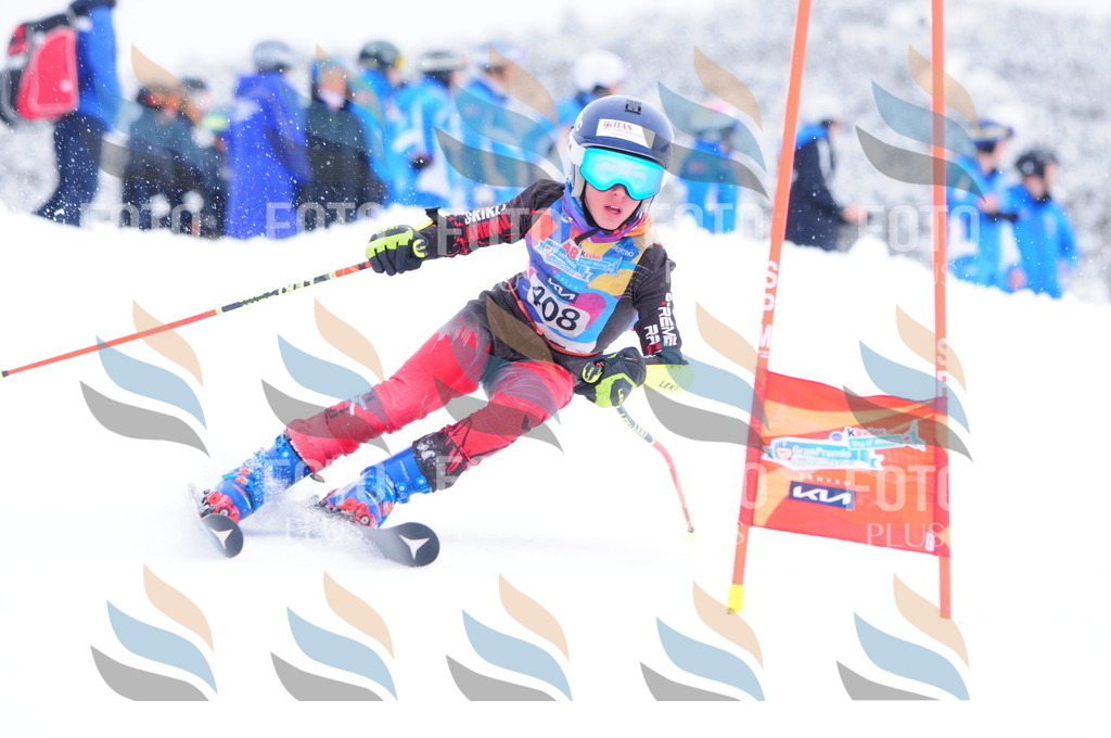 C4289 | holidayphoto