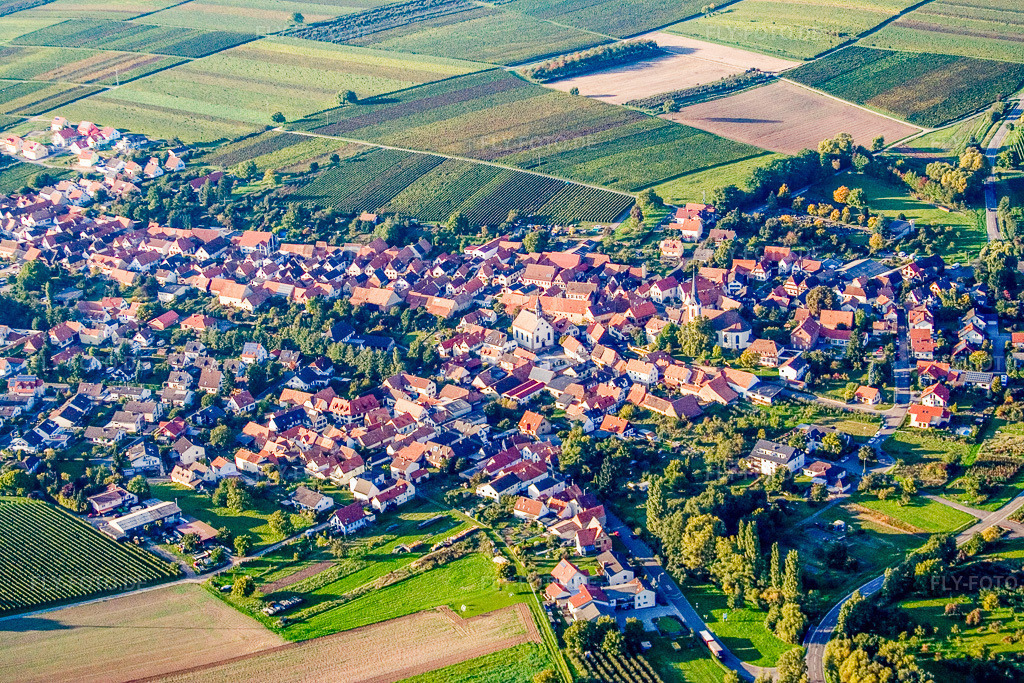 Luftbild: Ortsansicht von Süden in Göcklingen im Bundesland Rheinland-Pfalz in Deutschland. Foto: IMG_13715.jpg vom 28.09.2008 durch Werner Riehm/FLY-FOTO.de