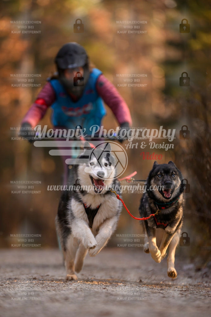 MompixPhotography_DM_AKDM_SO_2025_Scooter-58 | PayLife