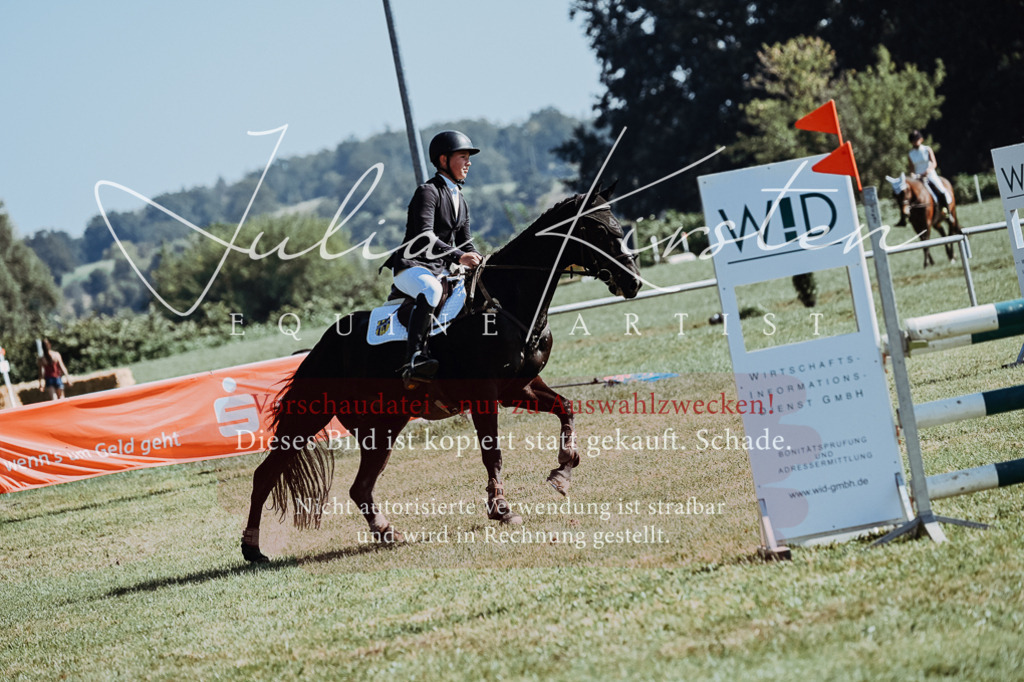DSC_5742 | Pferde- und Turnierfotografie in Westsachsen. Pferdeportraits, Auftragszeichnungen und intuitive Kunst.