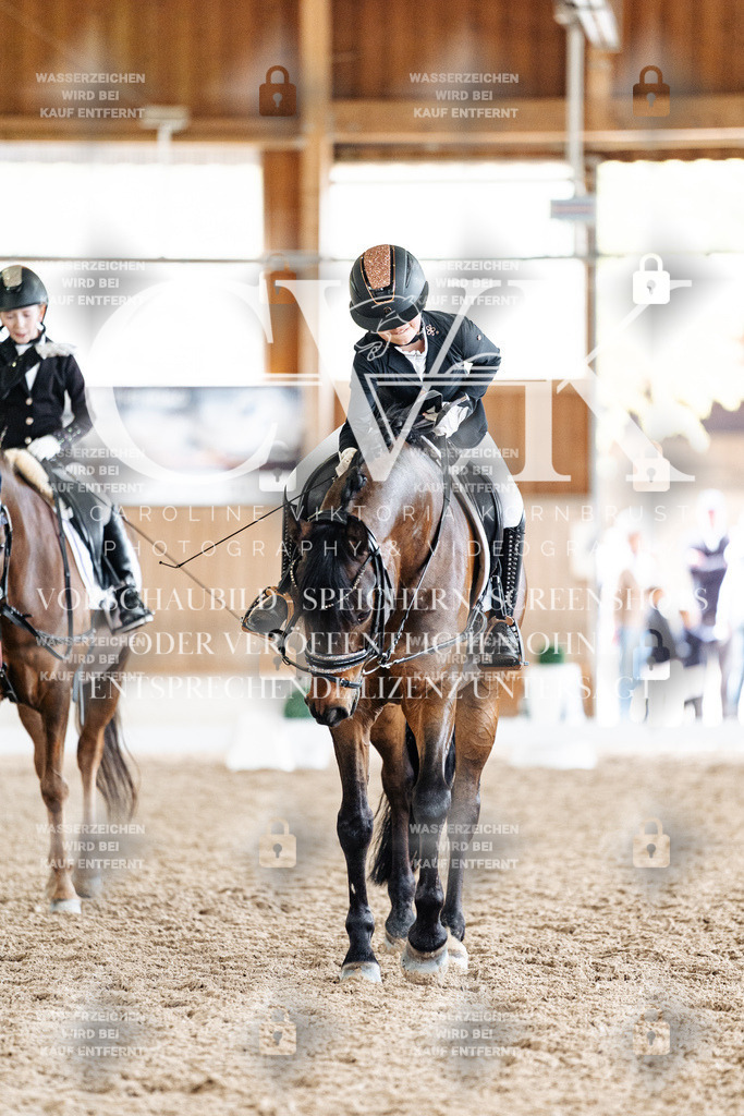 CK901726 | Turnierfotografie Pferdefotografie Trier Rheinland-Pfalz Pferdesport Reitsport Tierfotografie Sportfotografie Pferdevideo Pferdevideografie Equestrianvideography equestrianphotography  - Realisiert mit Pictrs.com